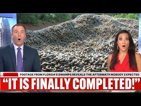 Footage From Florida’s Swamps Reveals the Aftermath Nobody Expected