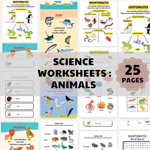 Animal Science Worksheets | Grade 1-2 | Vertebrates, Invertebrates Activities (digital Download) - Etsy