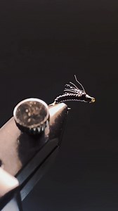 Jedi Master Variant~ Of course i tied the original but I could not get over how this one just stood out! The Jedi Master is a highly effective, slim-profile Baetis (mayfly) nymph pattern developed by Juan Ramirez, specifically designed for technical, picky trout in tailwaters #flytying #fishing #flyfishing #fyp #adventure | Cruz Elebario