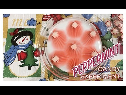 Peppermint Candy Water Experiment (Peppermint Water Science)