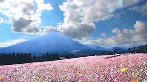 MY LIFE IS IN YOUR HANDS - with video lyrics Songwriters: Bill Montvilo / Kathy Troccoli Song by Kathy Troccoli (Visit in Youtube click the link below and please subscribe my YouTube Channel [ Mon Timbulan] and fallow or like my FB page GRACE MBC for more Christian songs videos with lyrics https://youtube.com/channel/UCyFY9EELXxCZfcDDAx5oiFQ ) Life can be so good Life can be so hard Never knowing what each day Will bring to where you are Sometimes I forget And sometimes I can't see That whatever