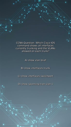 CCNA Quiz: Which Cisco IOS command shows all interfaces currently trunking and the VLANs allowed ...