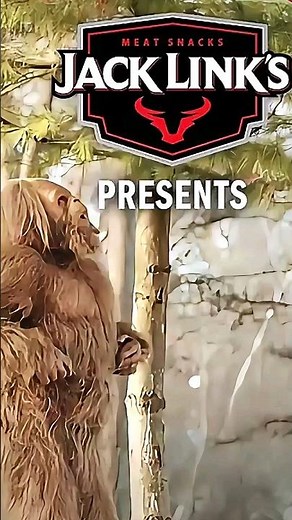 Sasquatch VS Balloon | Jack Links Funny Videos | Funny Commercials