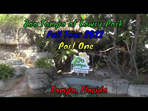 Zoo Tampa at Lowry Park Full Tour - Tampa, Florida - Part One