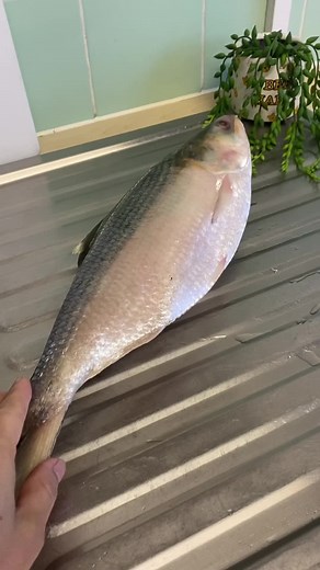Traditional Bengali Fish Recipes: Hilsa, Pabda, Chura, Pulasa, and Shira!