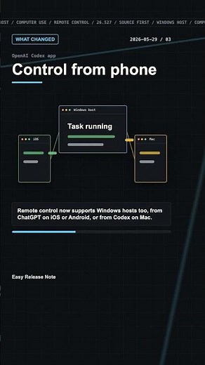 Codex Windows Computer Use