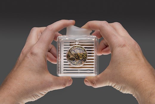 Puffer Pod® | Cannabis Aroma Pod | Bud Bar Displays®