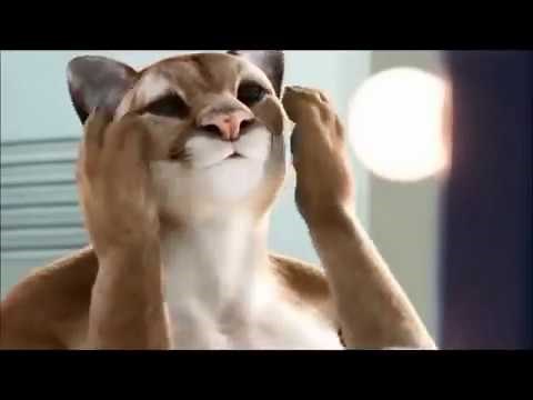 Orangina Commercials(complete)
