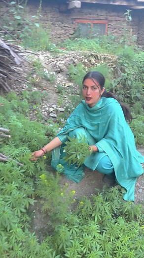 #newreelsviral #pahadi #followforfollowback | anni thakur