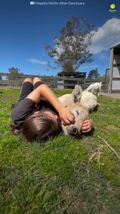 430K views · 10K reactions | Ein wahrer Freund ❤️ | Kinder World - Deutschland | Facebook