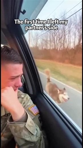 Emotional Separation Between Soldier and Dog