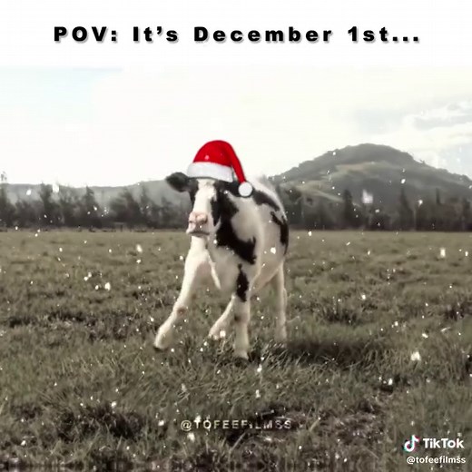 Wake Up, It's the First of the Month: Cow Meme