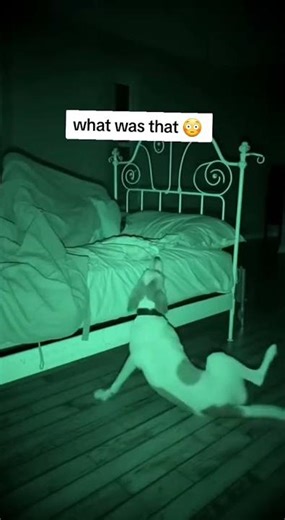 CCTV Footage That Will Haunt You Forever😱 | Terrifying Real Horror Stories |Episode 29!#horror#ghost