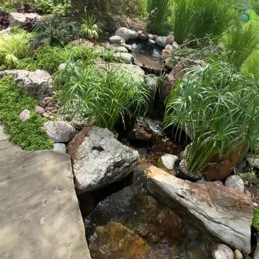 10K views · 235 reactions | Check out how well this amazing Aquascape Eco System Pond draws flourishes in this back yard. From a pondless waterfalls to a full on Aquascape Eco System Pond  | Greg Wittstock the Pond Guy | Facebook