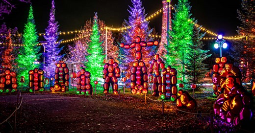 The half-mile Great Pumpkin Trail is back at Pinehaven Farm for a second year