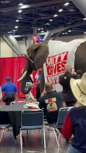 An elephant entered the room at the Texas GOP Convention