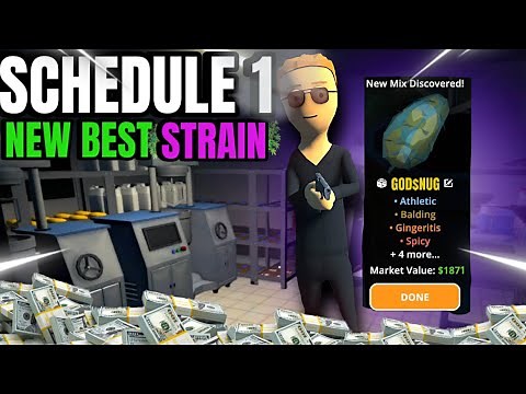 THIS IS THE NEW BEST STRAIN | Schedule 1 (Purple Seed)