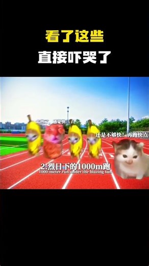 看了这些直接吓哭了 #猫meme #内容过于真实 #funny