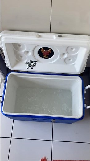 Teste Coleman cooler com gelo dia 2 test coleman cooler with ice day 2