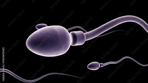 Sperm Cells in Microscopic View: A striking macro view of human sperm cells, a symbol of life, depicted in high detail against a dark backdrop.