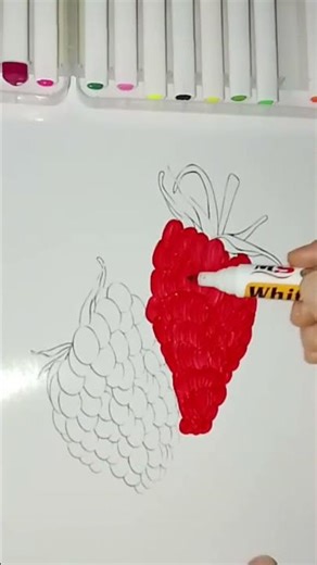 “raspberry dye". #raspberryshade #pinkredtone #colorinspiration