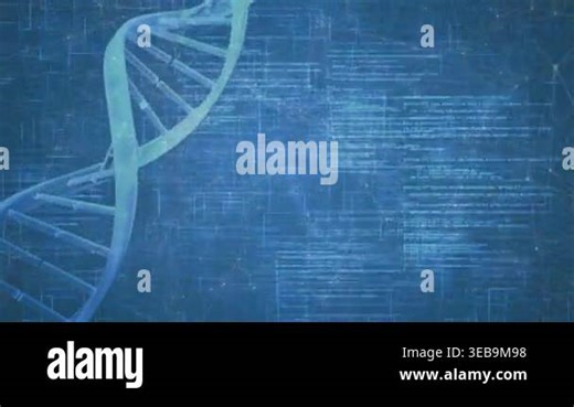 DNA helix rotating left, code fading and streaming, grid flickering, visualizing biotech data. Genome, visualization, futuristic, digital, analytics, biotech, alphanumeric Stock Video Footage - Alamy