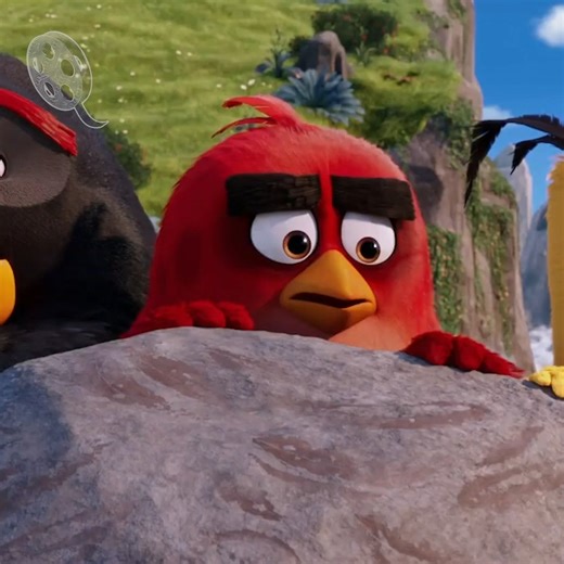 115K reactions · 7.7K shares | No sabemos si reír o llorar con este video  #MiércolesDePelícula ANGRY BIRDS: LA PELÍCULA HOY 8:00PM MEX / COL | 10:00PM ARG | Sony Channel | Facebook