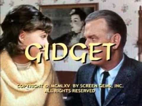 Theme Song to Gidget