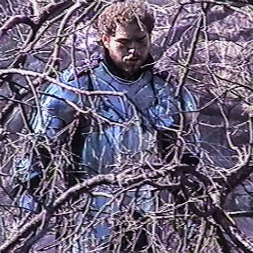 Post Malone - Circles