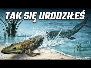 Prawdziwa Historia Planety: Od Wielkiego Wybuchu do Dziś | Pełny Film Dokumentalny