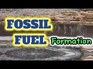 How Fossil Fuels are Formed?
