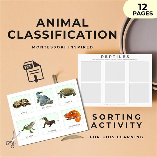 Animal Classification Sorting Activity | Montessori Animal Classification Printable | Mammals Insect Reptile Amphibian Fish Bird - Etsy