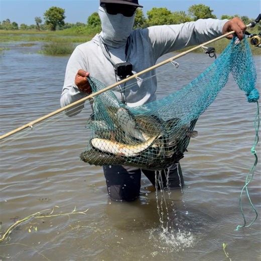 ⁉️🤯 I Can’t Expect Catch This Massive Snakehead Fish! #shorts #shortvideo