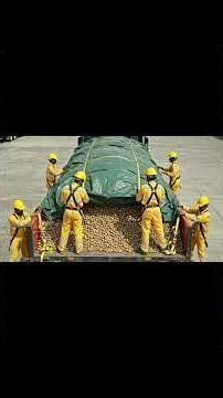 The Amazing Potato Journey From Farm To Market