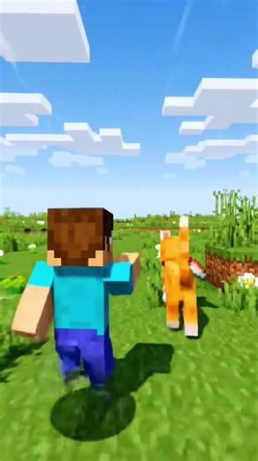 Minecraft Cat Run #minecraft #shorts #catvideos