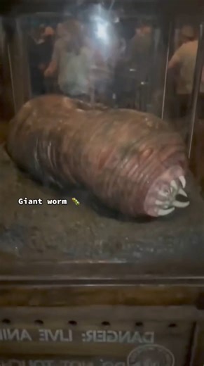 355K views · 3.8K reactions | The 3 rarest Animals in The world #rarest #Animals #rareanimals #langur #AmurLeopard #Whitelion #extinctanimals #wildlif #veryrare upinthespace | upinthespace | Facebook