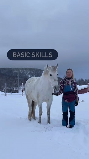 1.3K views · 74 reactions | Training basics. What does it mean? Had...