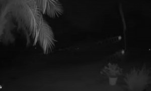 Florida man captures 2 floating orbs of light on video, claims UFOs