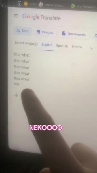 Exploring the Neko Culture: A Deep Dive