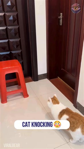 Beibei said “open up” 😂 | Now I've Seen Everything