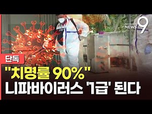 [단독] "치사율 최대 90%" 니파바이러스 1급 감염병 된다…"차기 팬데믹 유력 후보" [뉴스9]