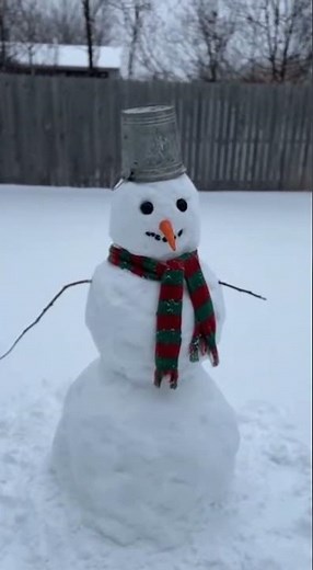 snowman became alive #funnymemes