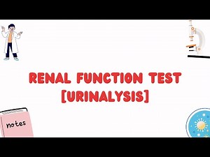 Renal Function Test(Urinalysis)
