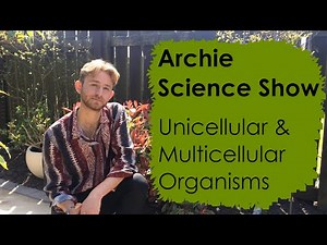 KS3 Science - Unicellular and Multicellular Organisms