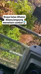 Kalau udah di darat,langsung... Sayang🤪🤣 #oprator #opratorexcavator #history #excavator #caterpillar #caterpillarsecond #catindonesia #kobelco #komatsuindonesia #hitachizexis210 #cat320D #excavatorcaterpillar #sanyexcavator #sanyindonesia #volvoexcavtor #volvoalatberat #acehtbangmas #excavatoraceh #kalimantan #tambangmas #fypreels #fypviral #fypage #fypviral #fyp | Tofit Hidayad