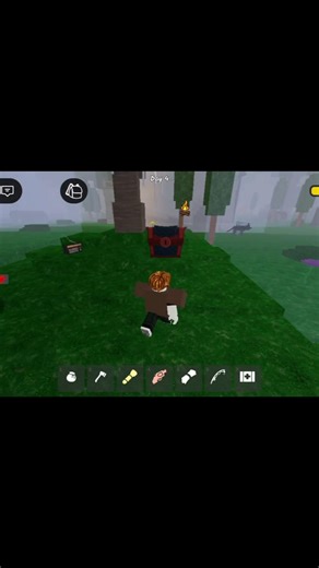 I Opened a Ruby Chest in #99nightintheforest