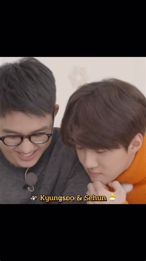 ♡𝕃𝔼𝕋𝕊 𝕃𝕆𝕍𝔼 𝕊𝕌ℍ𝕆 ♡ on Instagram: "Oh my God… they’re so adorable! I love them so much… 💜💋😭🐥🐧 @oohsehun @d.o.hkyungsoo . .made by AOR _YEYE . #SEHUN #DO #Kyungsoo #EXO #EXOL #EXOlove #SEHUNandDO #EXOmoments"