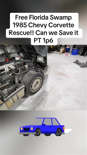 Free Florida Swamp 1985 Chevy Corvette Rescue!! Can we Save it PT 1