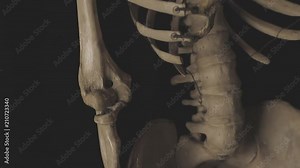 footage showing a real skeleton
