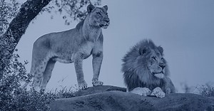 Webagentur » Experten für erfolgreiche Websites